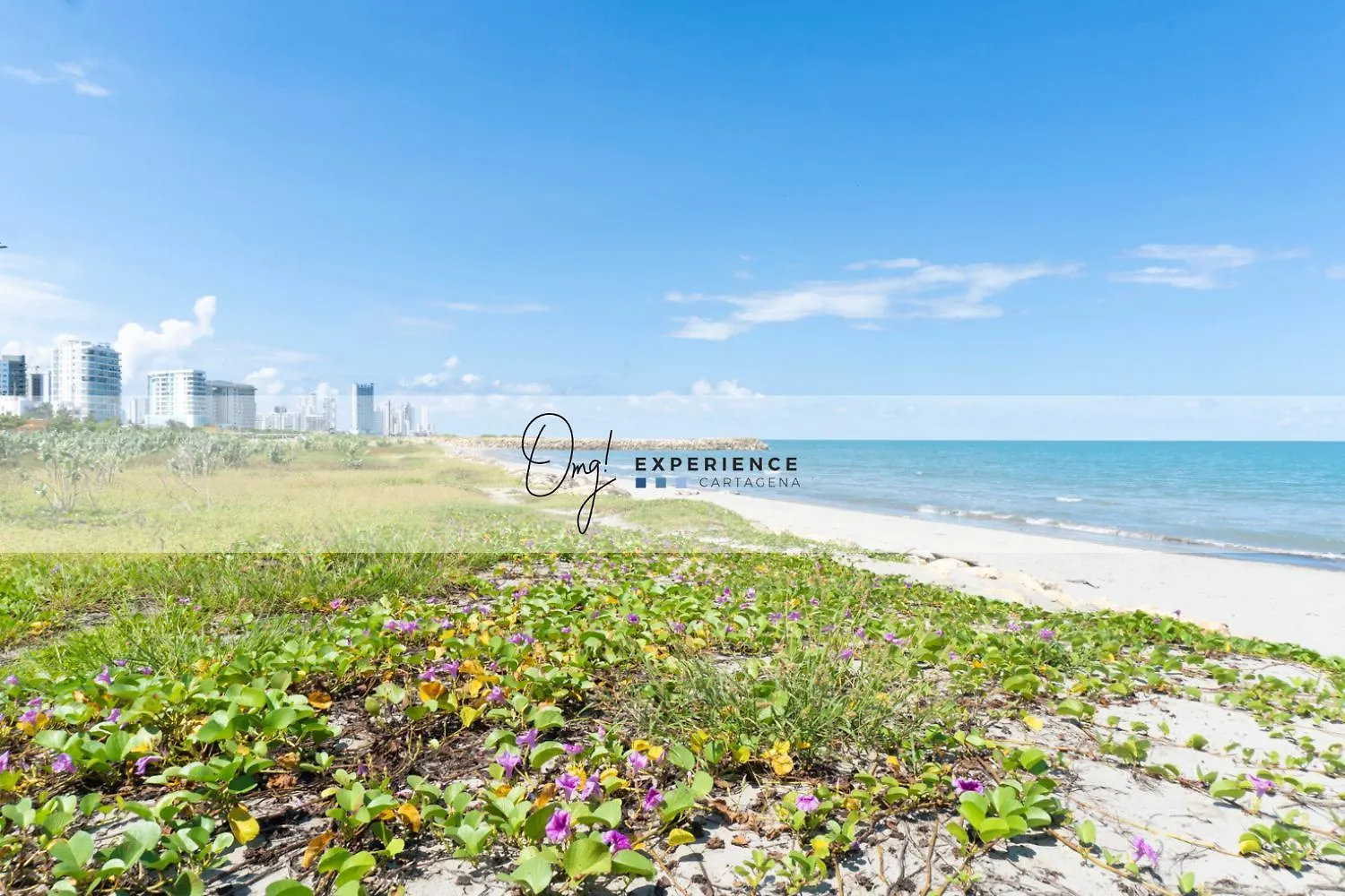 Cb1403 Moderna Suite En Zona Norte Vista Al Mar Cartagena